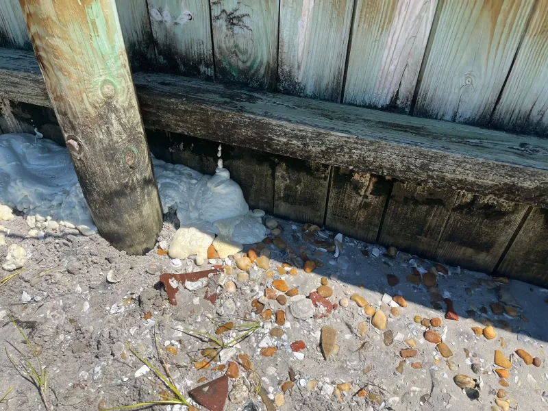 White repair foam emerging through timber seawall gaps beside a piling at the sand line at Shore Drive in Wrightsville Beach