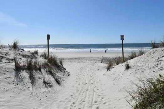 Beach access between dunes beside Sea Oats
