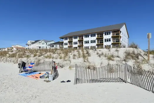 Sea Oats behind the dunes and beach fence